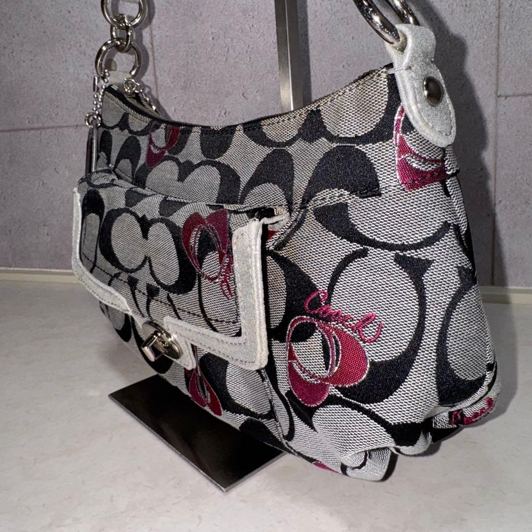 COACH シグネチャー ポピー グルービーハート 2WAY ショルダーバッグ