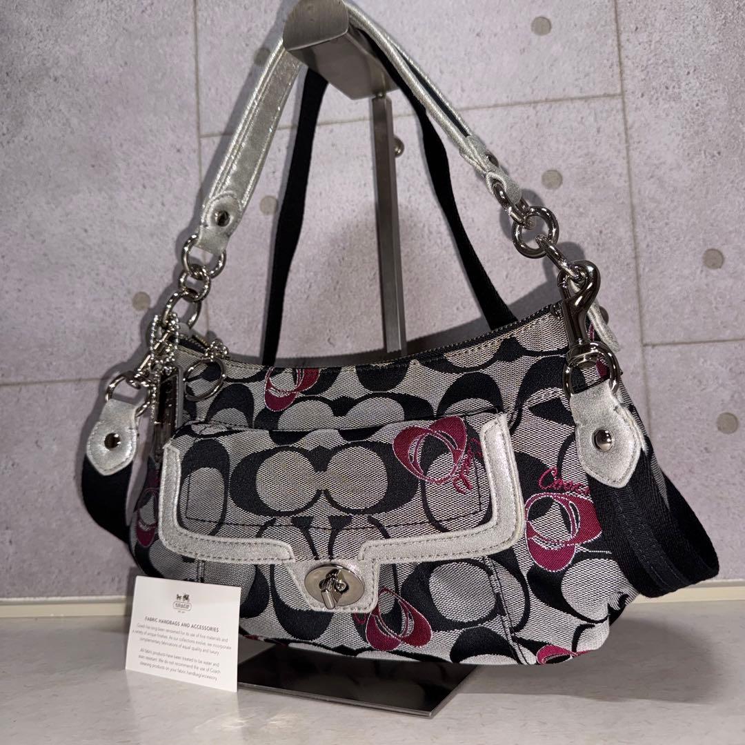 COACH シグネチャー ポピー グルービーハート 2WAY ショルダーバッグ