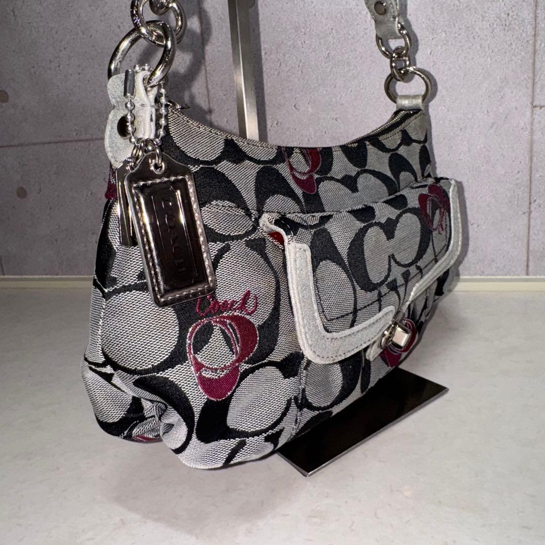 COACH シグネチャー ポピー グルービーハート 2WAY ショルダーバッグ