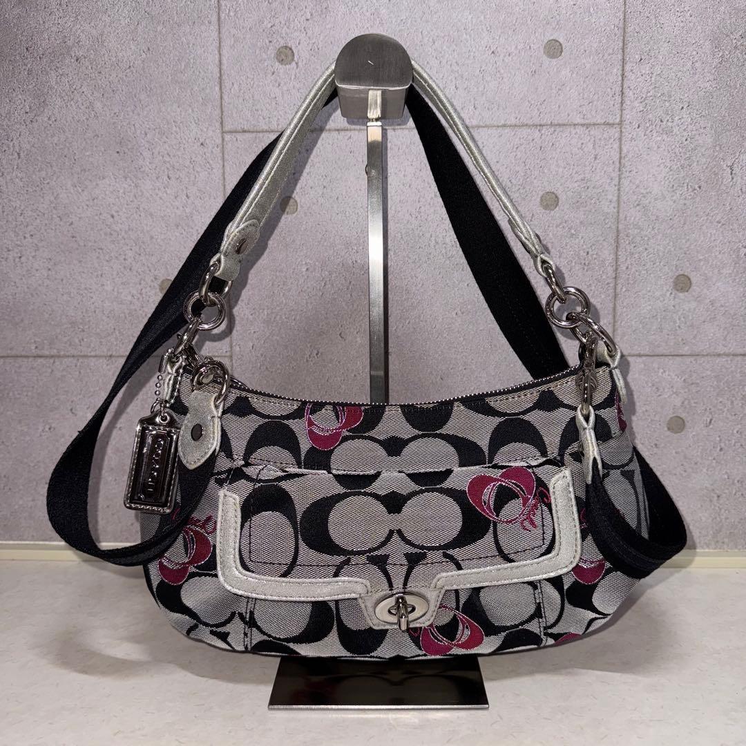 COACH シグネチャー ポピー グルービーハート 2WAY ショルダーバッグ