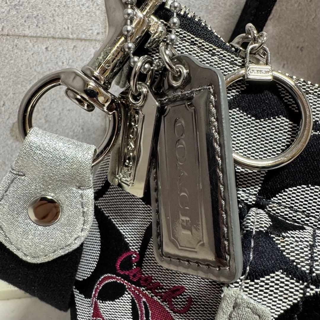 COACH シグネチャー ポピー グルービーハート 2WAY ショルダーバッグ