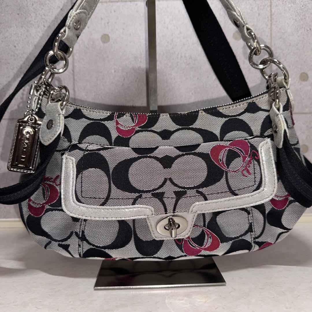 COACH シグネチャー ポピー グルービーハート 2WAY ショルダーバッグ