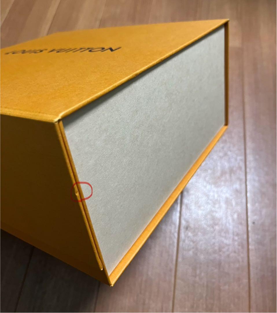 箱•ショッパー付属 美品 LOUIS VUITTON ダヌーヴ エピ