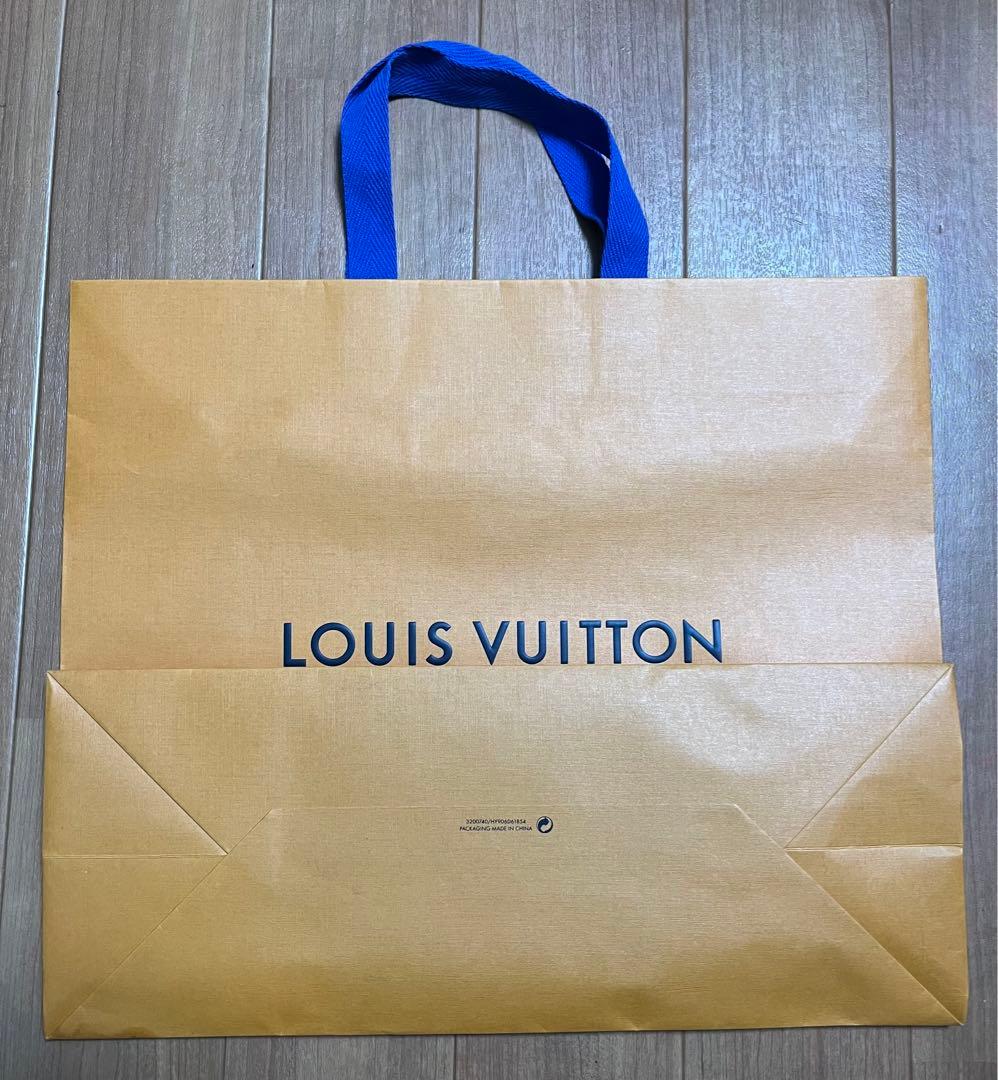 箱•ショッパー付属 美品 LOUIS VUITTON ダヌーヴ エピ