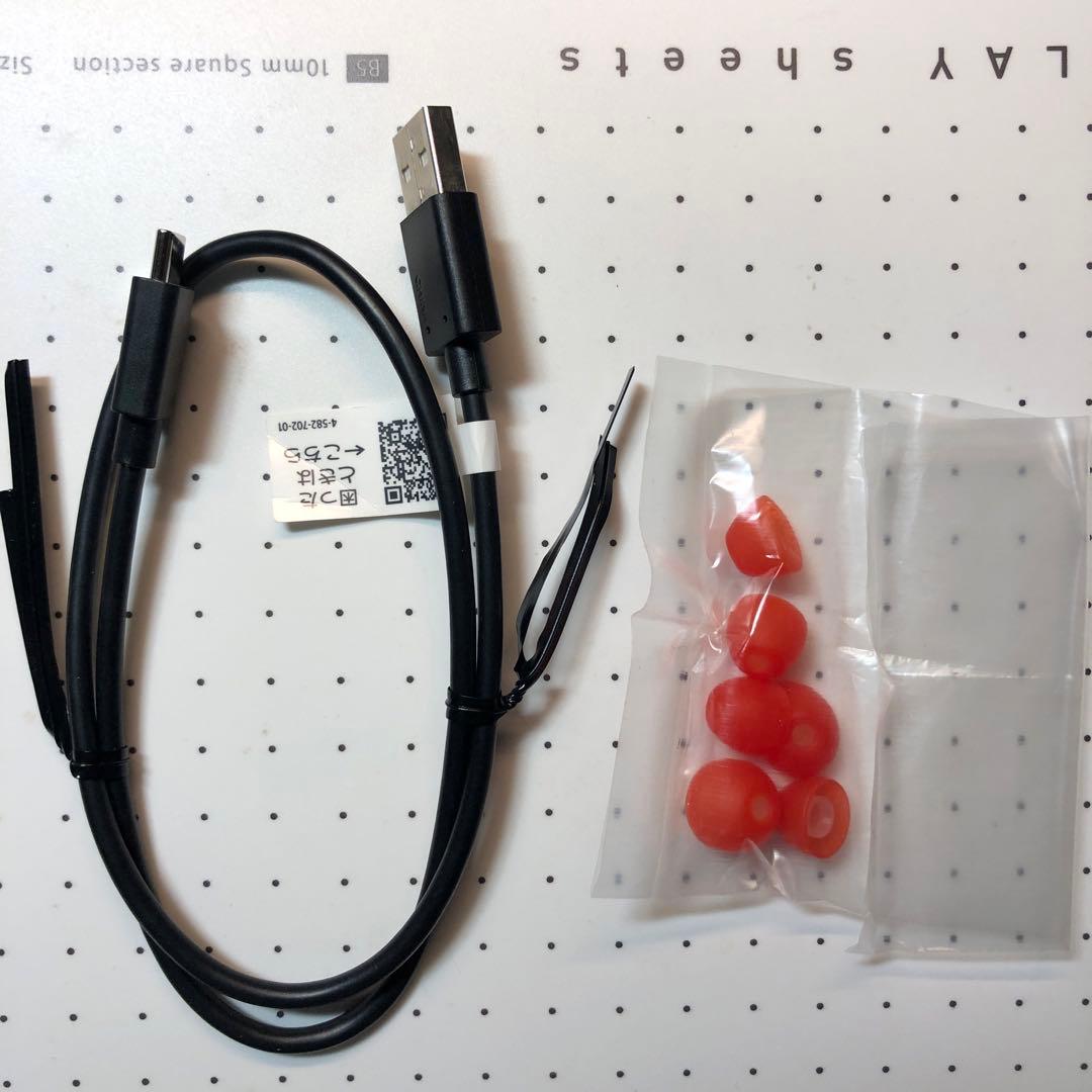 SONY WALKMAN NW-A105HN ケース付き 美品