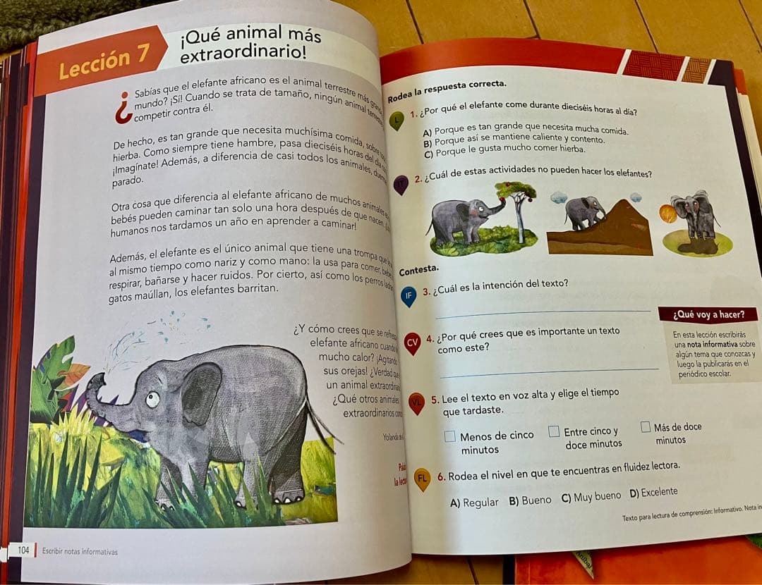 スペイン語教材教科書ワークブックCD付2冊セット