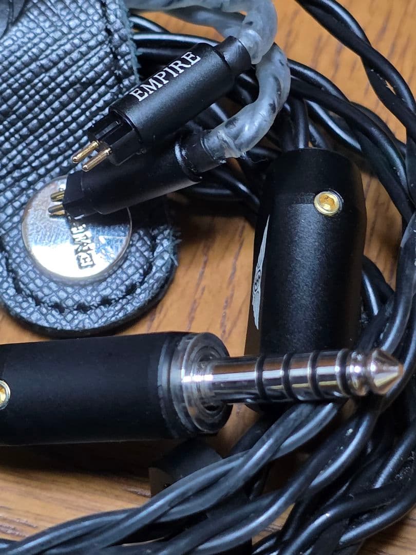 【かねこ】【美品】Empire Ears Raven コーティング済