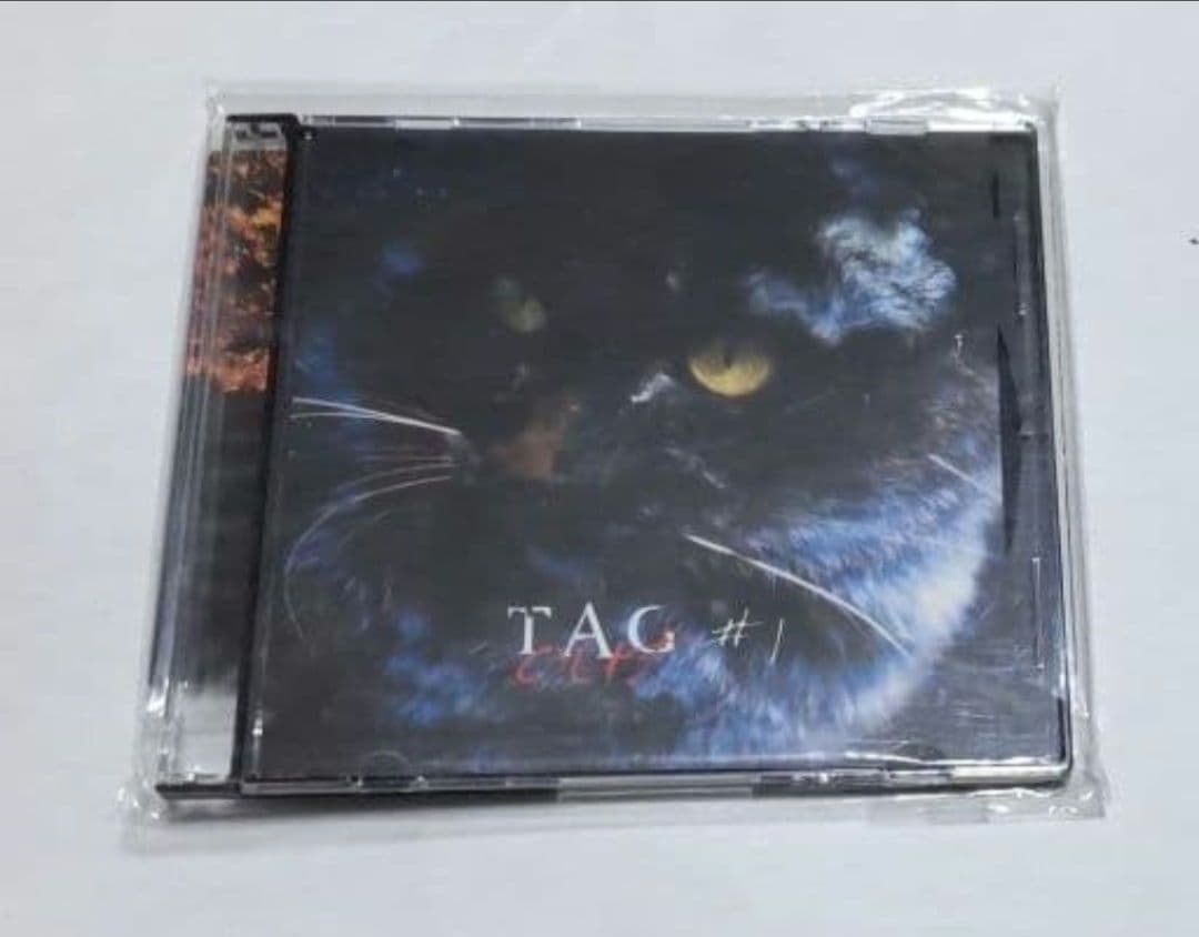 邦楽 TAG #AGout_ HOLLOWGRAM GULLET