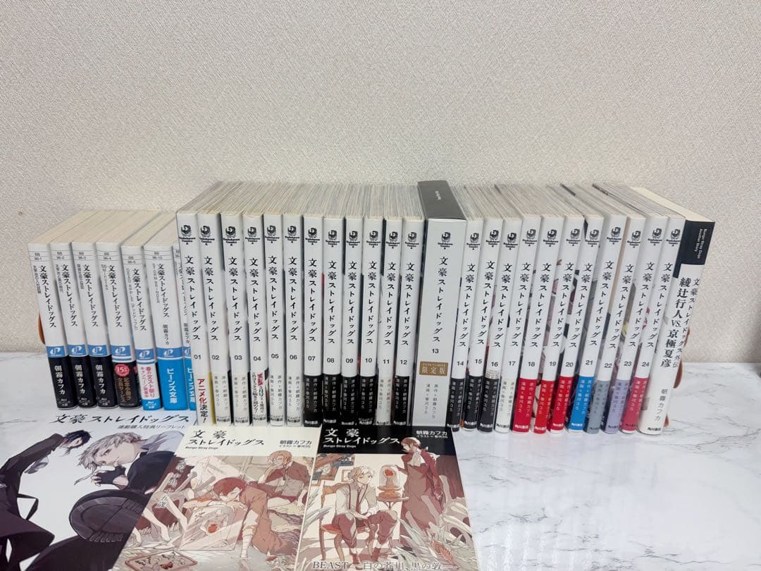 文豪ストレイドッグス 全24巻＋α