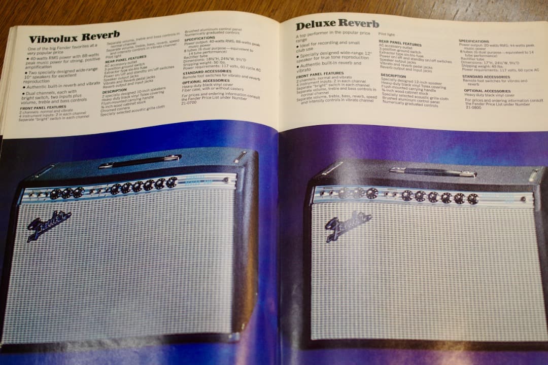 趣味 Vintage 1970 Fender Full Lineup Catalog