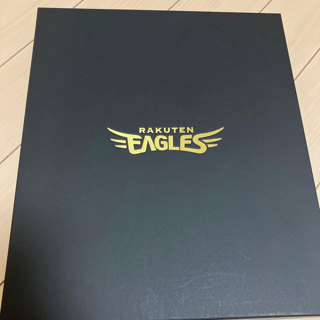 田中和基　2018最優秀新人賞獲得記念 ユニフォームチップフォトパネル　ボール付