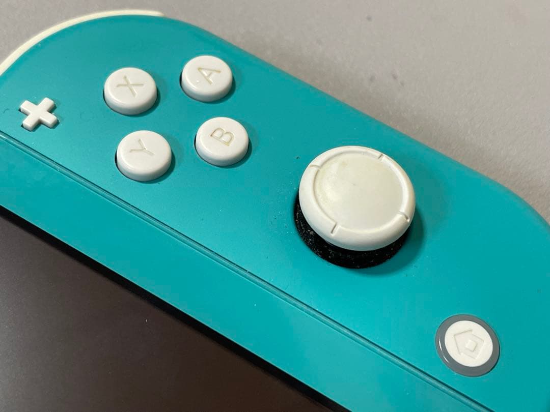 動作確認済み Nintendo Switch Lite ターコイズ ケース付き