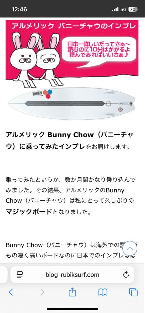 【送料込み】チャネルアイランズ アルメリック BUNNY CHOW 5'9