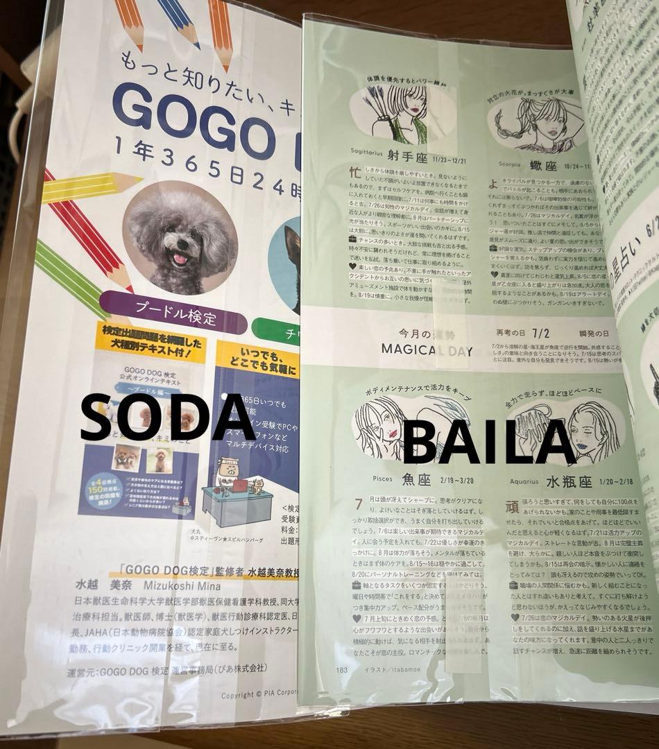 向井康二 表紙 雑誌 8冊セット