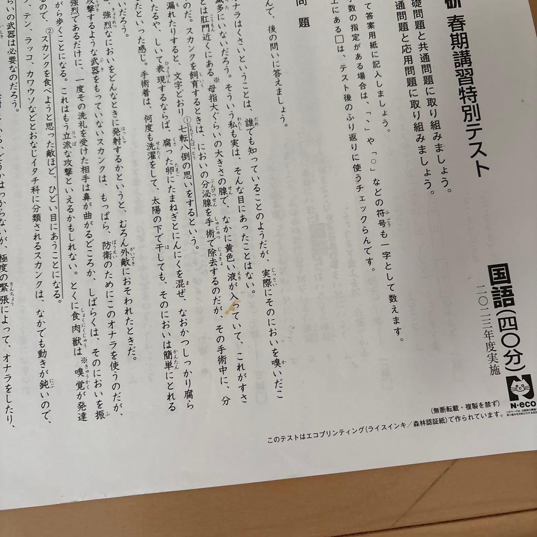 日能研 5年前期育成テスト（23年度 ）、春期、夏期講習特別テスト