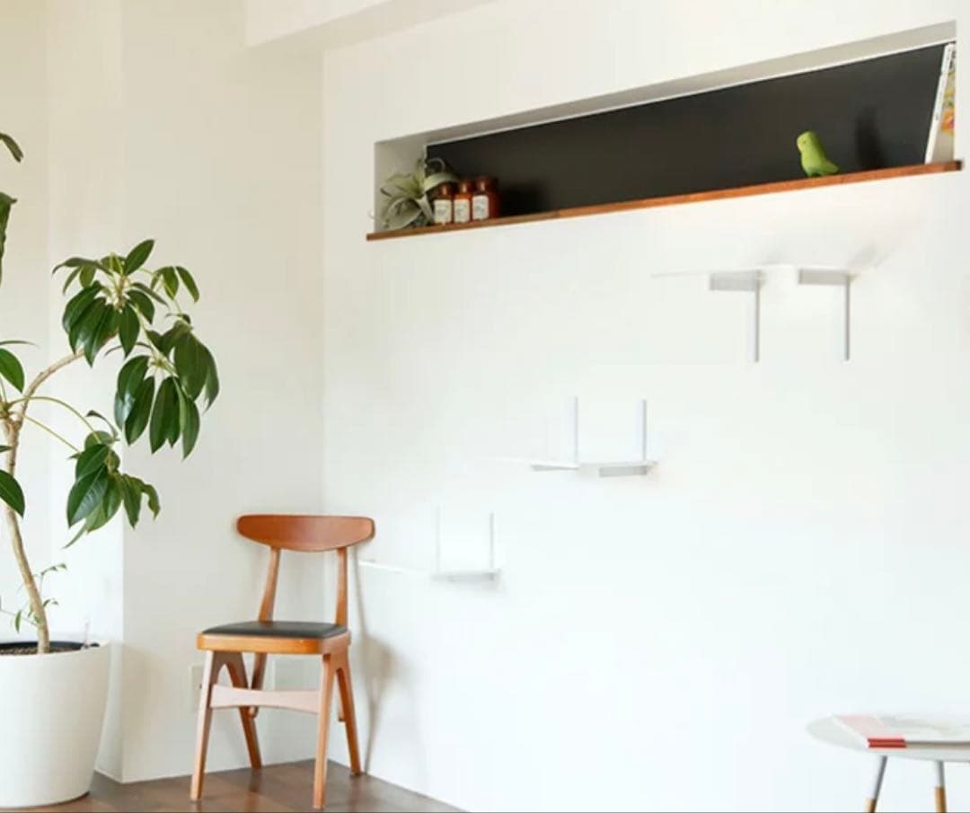 キャットロードプラス