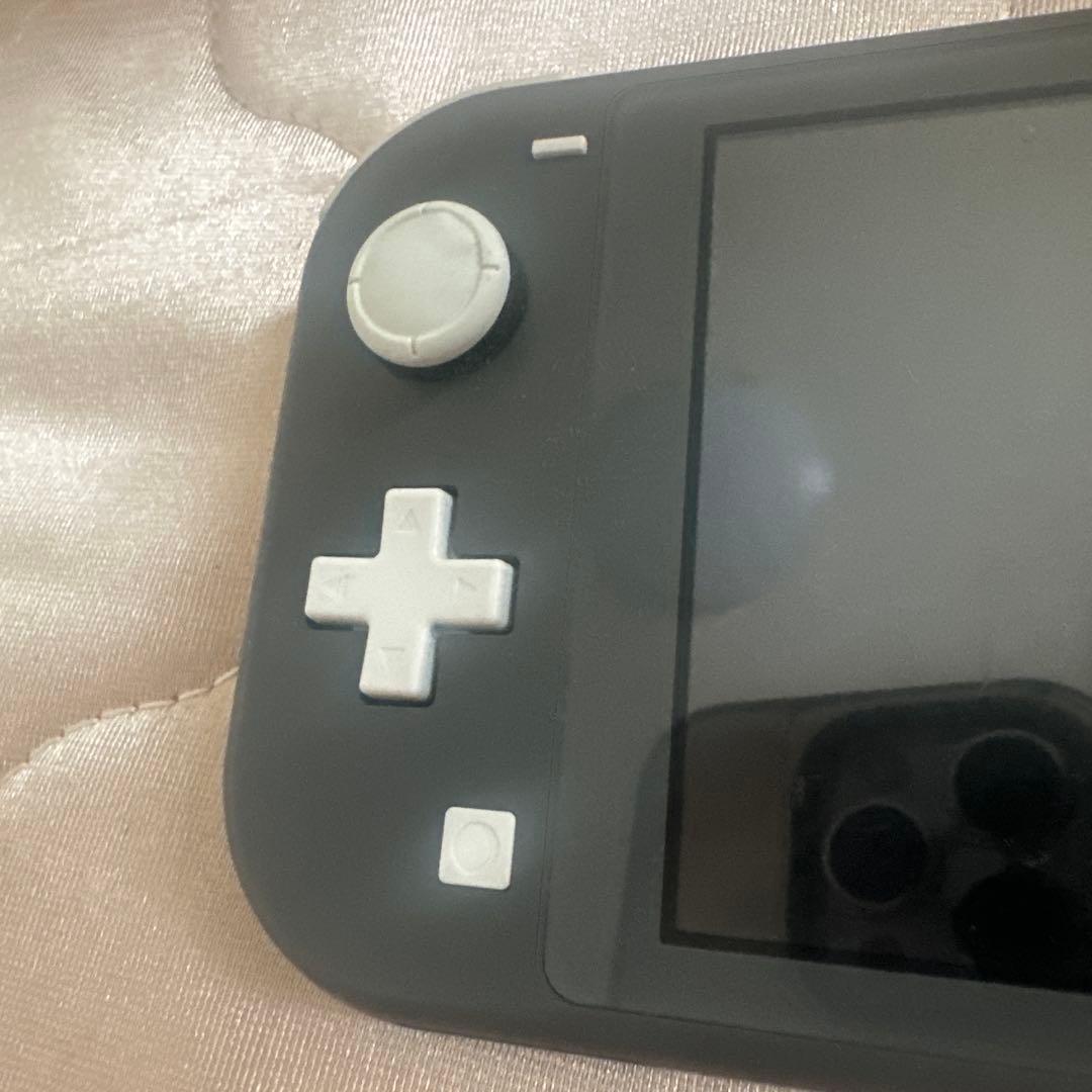 ニンテンドースイッチ　ライト　ブラック スプラトゥーン2 カセット