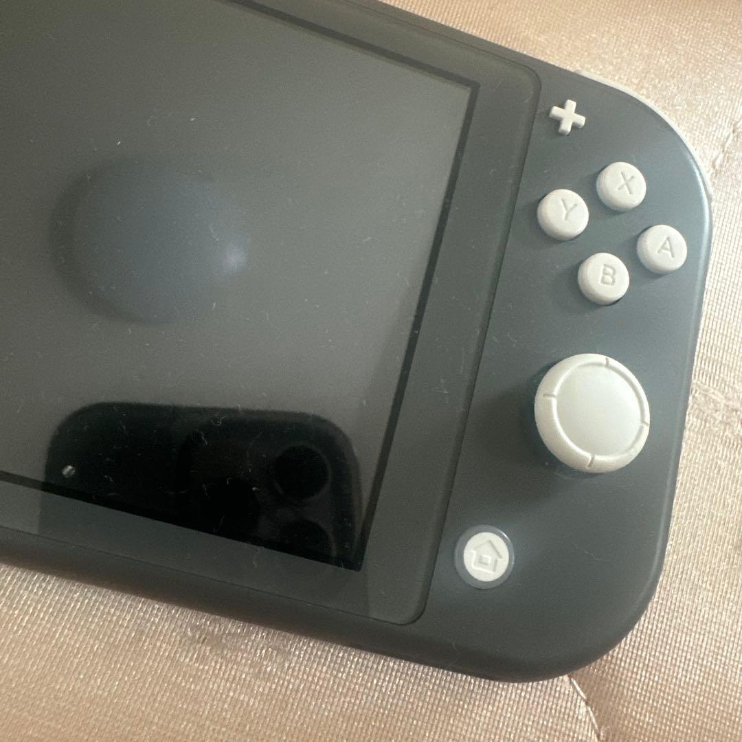 ニンテンドースイッチ　ライト　ブラック スプラトゥーン2 カセット