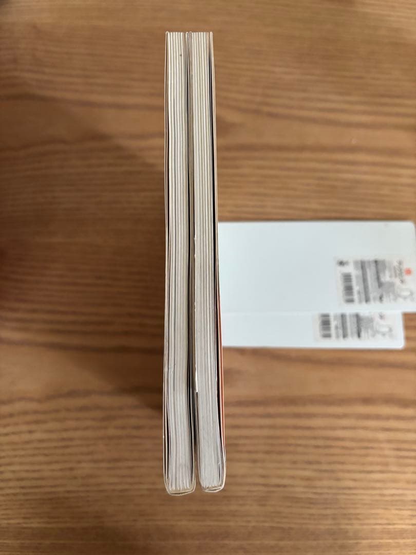 ダーティーペア写真集SEXY TWO