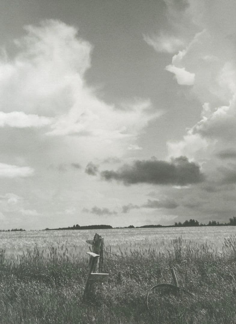 【希少】BRUCE WEBER 世界500部限定 ブルースウェバー ROOKIE