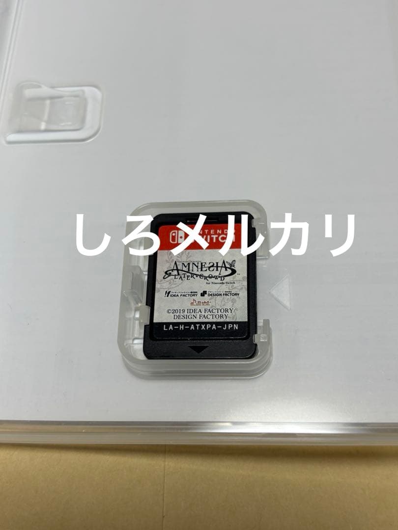 AMNESIA LATER×CROWD Switch アムネシア　最終価格