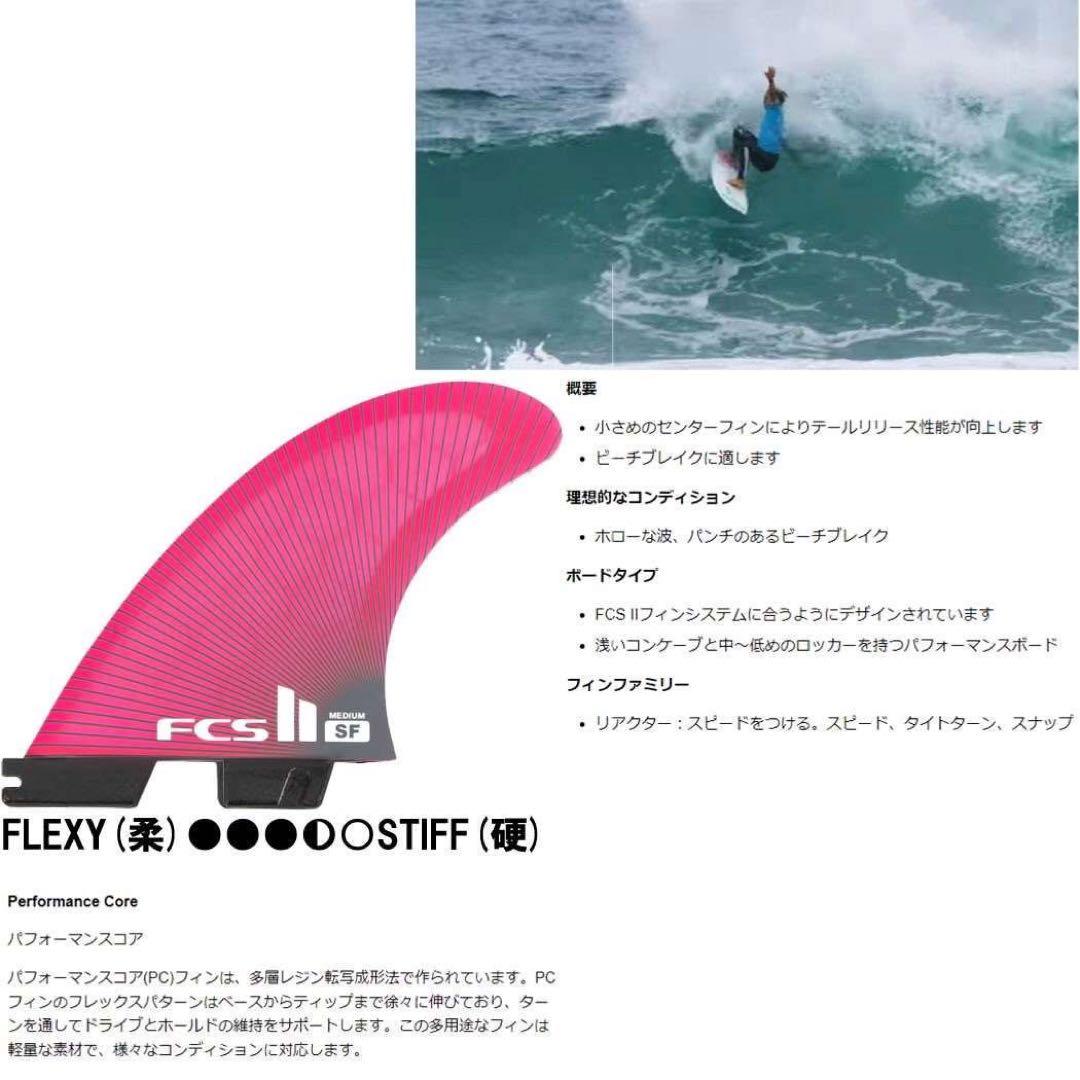 FCS2 エフシーエス シグネイチャーフィン サリー フィッツギボンズ トライ