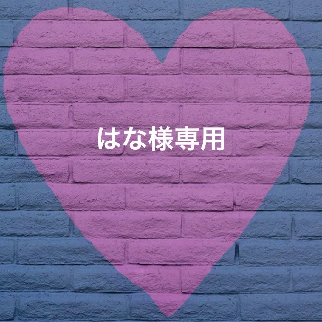 はな様　おまとめ　2体