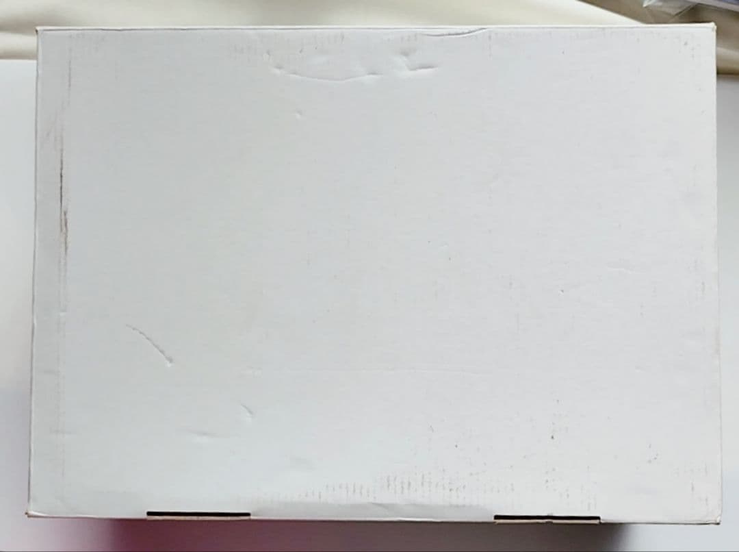 リディー＆スールのアトリエ20周年記念ボックス Nintendo Switch