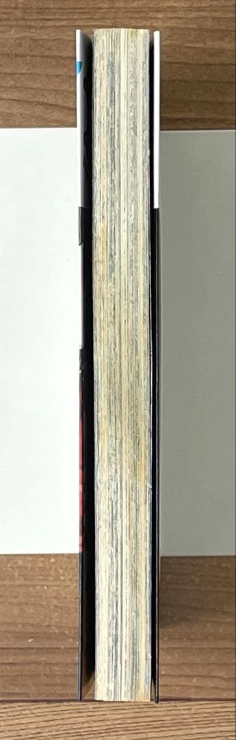 【初版/帯・チラシ付】進撃の巨人 1巻 第1刷 諫山創