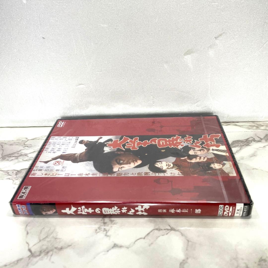 未開封 大学の暴れん坊 DVD