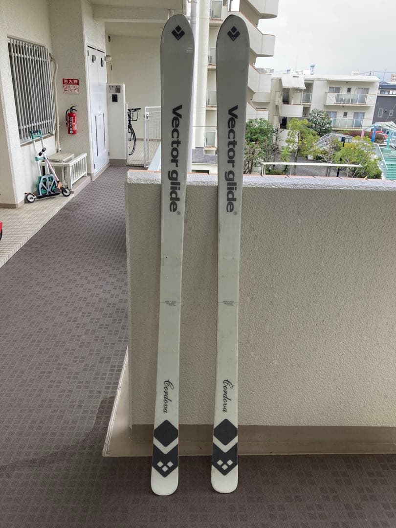 スキー vector glide cordova 180cm