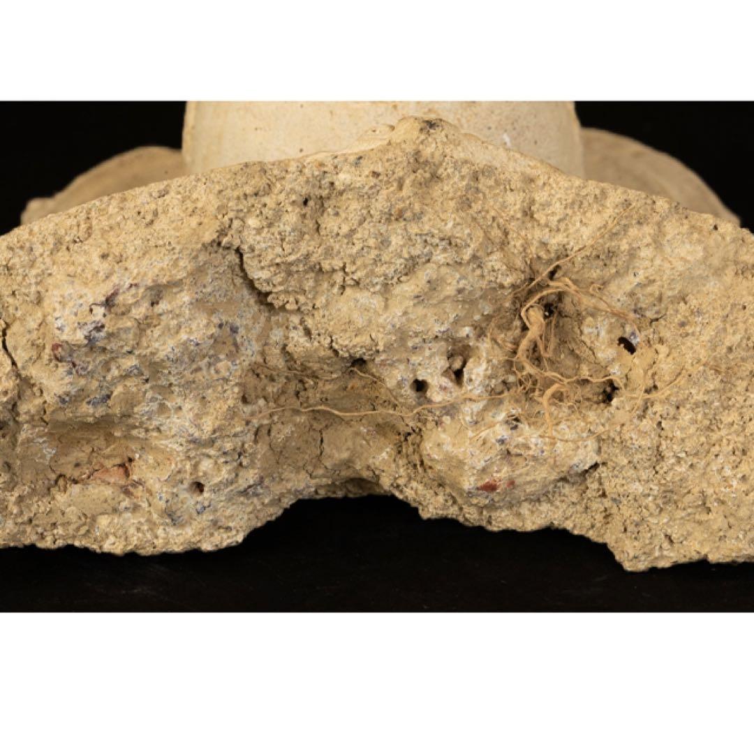 ガンダーラ　チベット　インド　中国　石彫　仏像　石仏