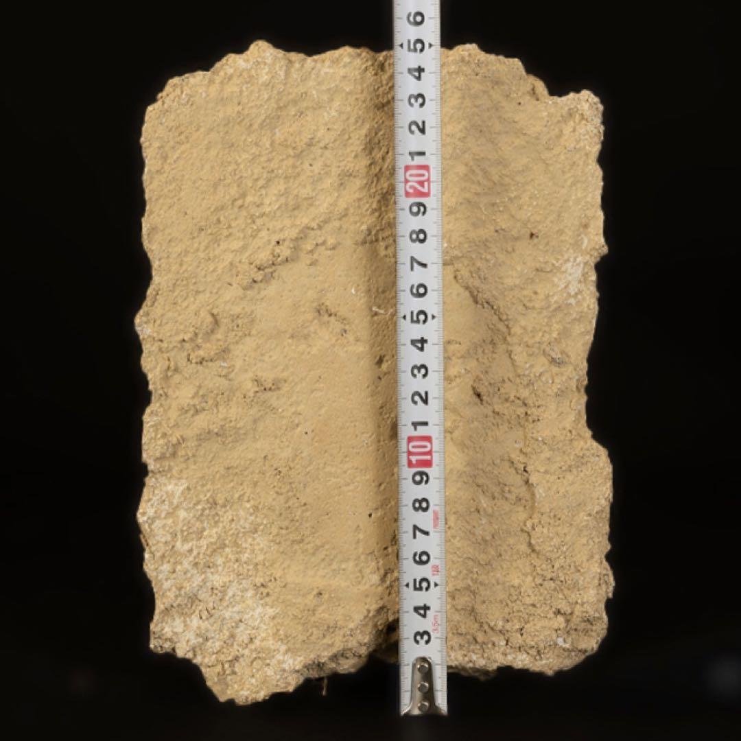 ガンダーラ　チベット　インド　中国　石彫　仏像　石仏