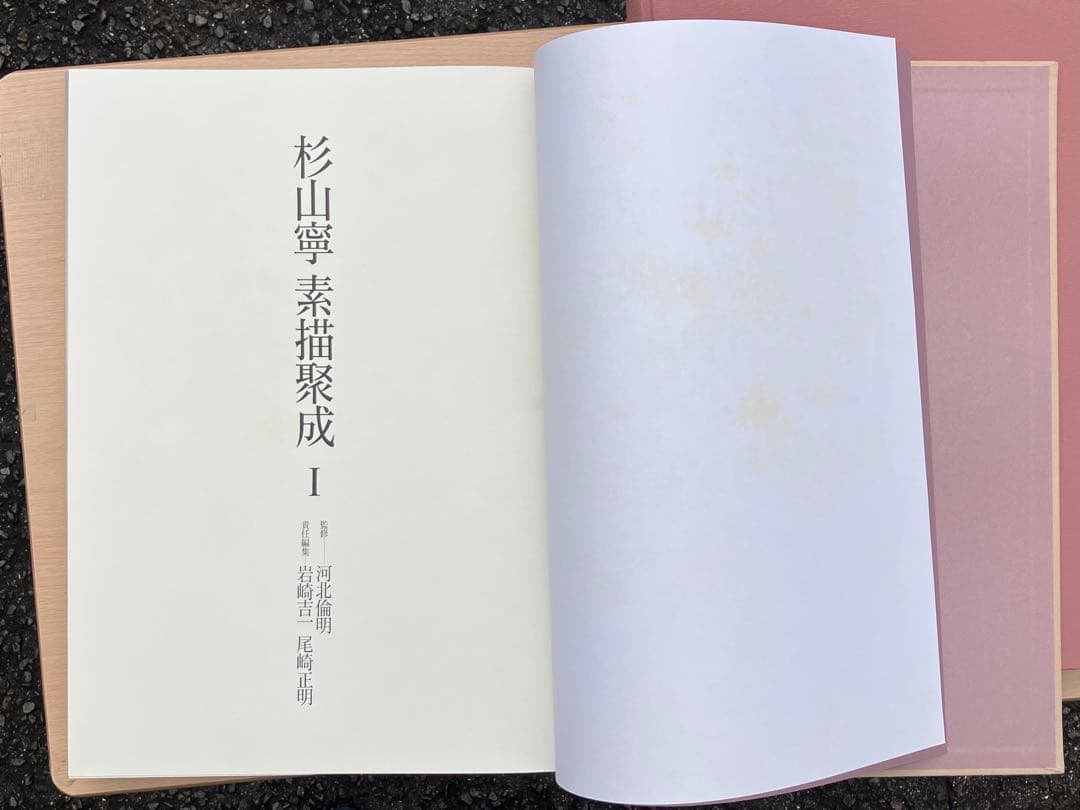 杉山寧素描聚成 全一巻二分冊 特典？付 1992年 小学館