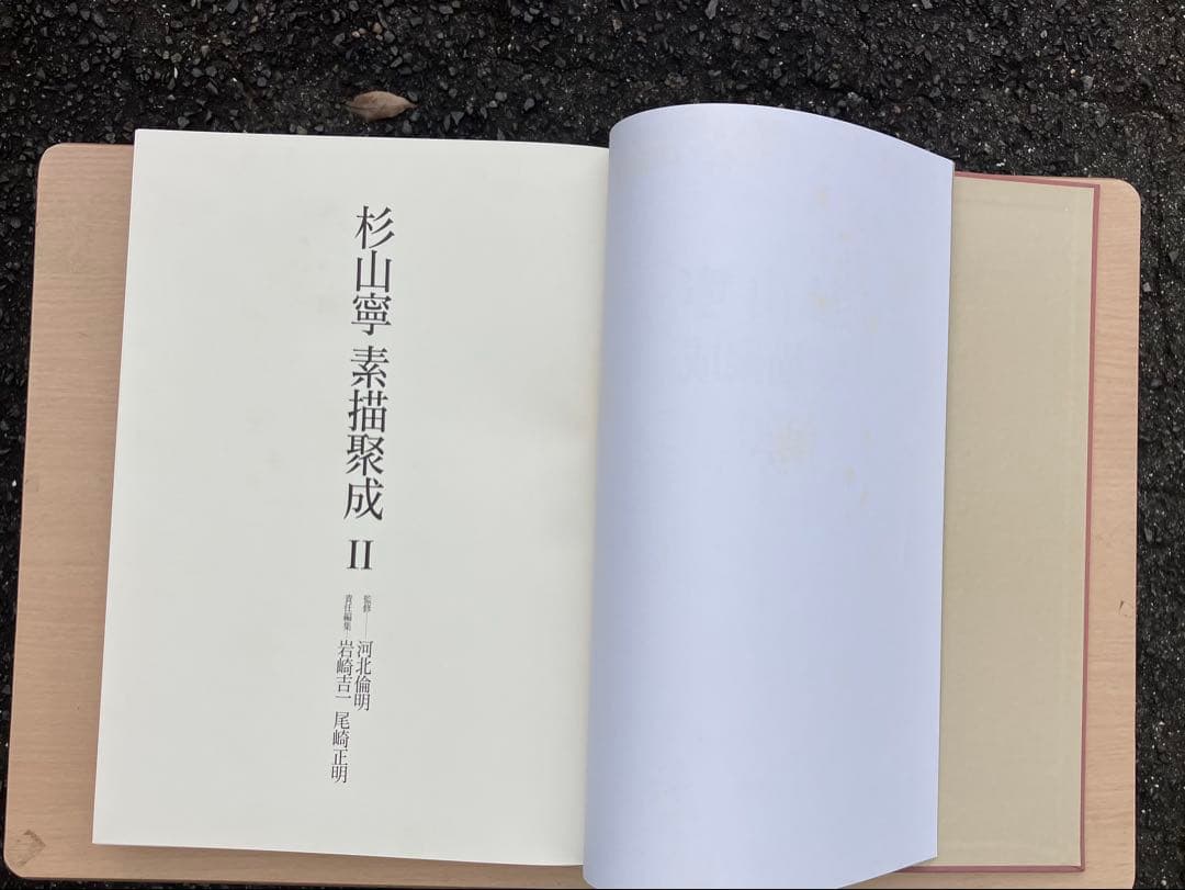 杉山寧素描聚成 全一巻二分冊 特典？付 1992年 小学館