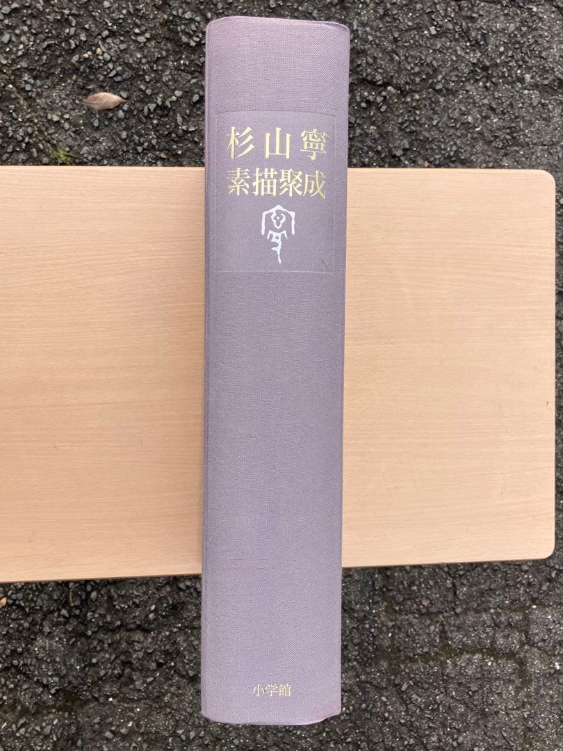 杉山寧素描聚成 全一巻二分冊 特典？付 1992年 小学館
