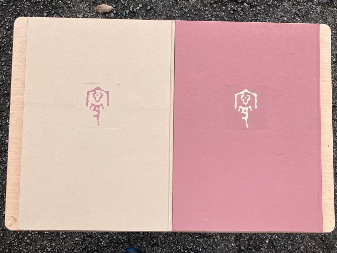 杉山寧素描聚成 全一巻二分冊 特典？付 1992年 小学館