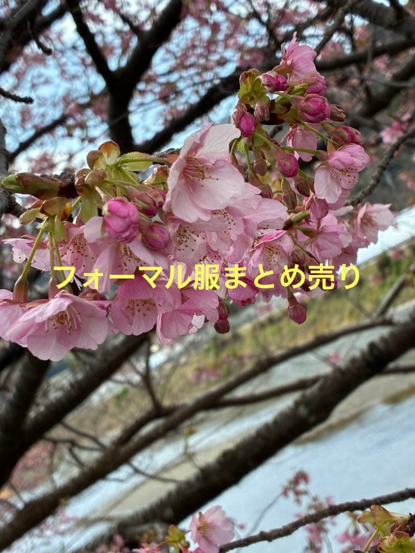 フォーマル服　おまとめ