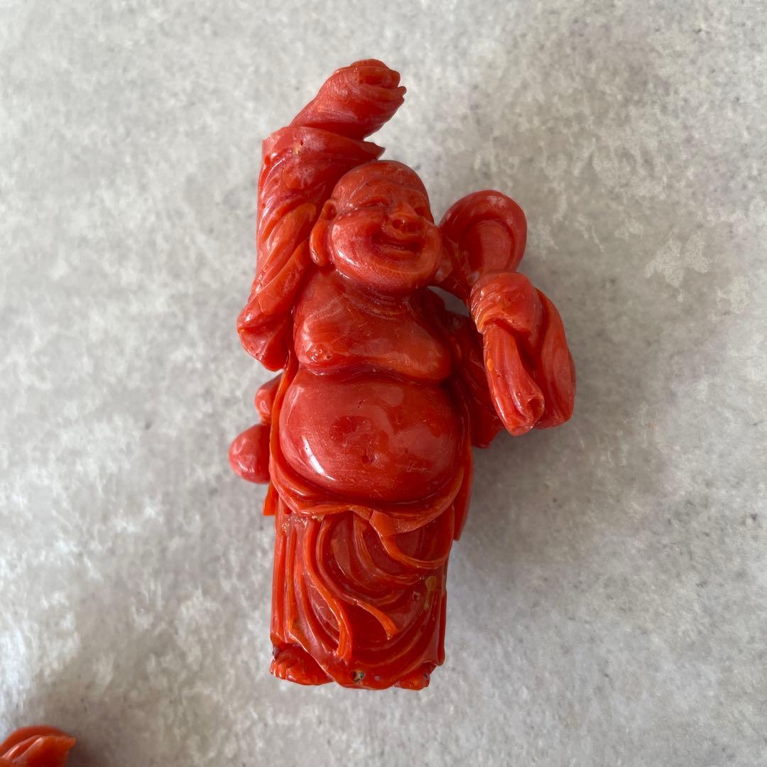 【サンゴを買収する様】ご確認用