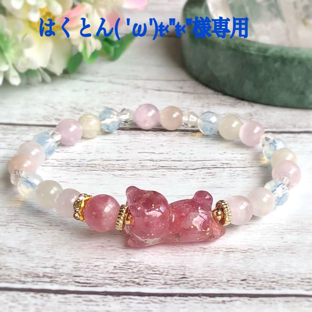 はくとん( 'ω')ŧ‹\