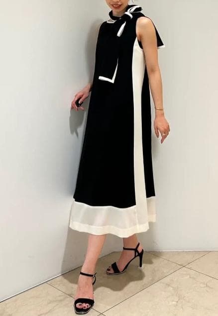 GRACE CONTINENTAL49,500円24SSバイカラーフレームドレス