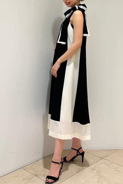 GRACE CONTINENTAL49,500円24SSバイカラーフレームドレス