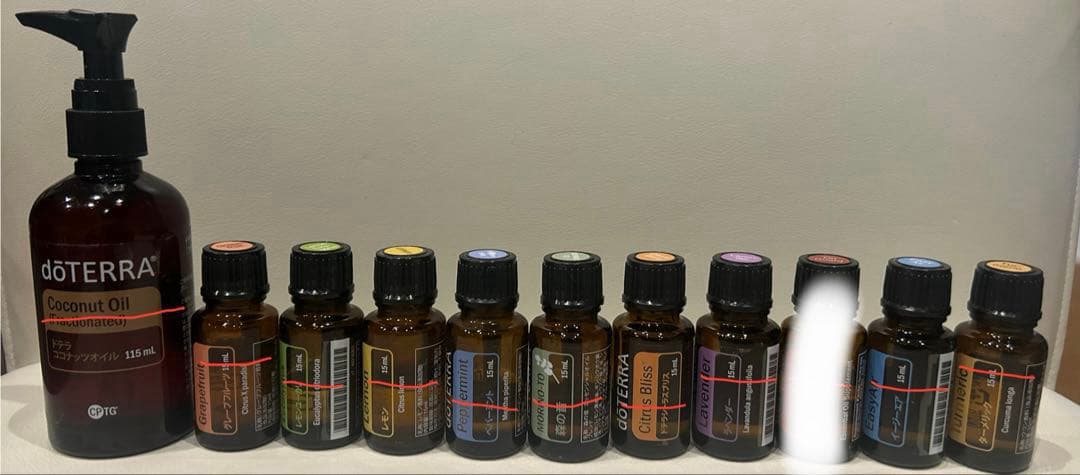 ドテラ　オイル　ディフューザー　木製ケース　他