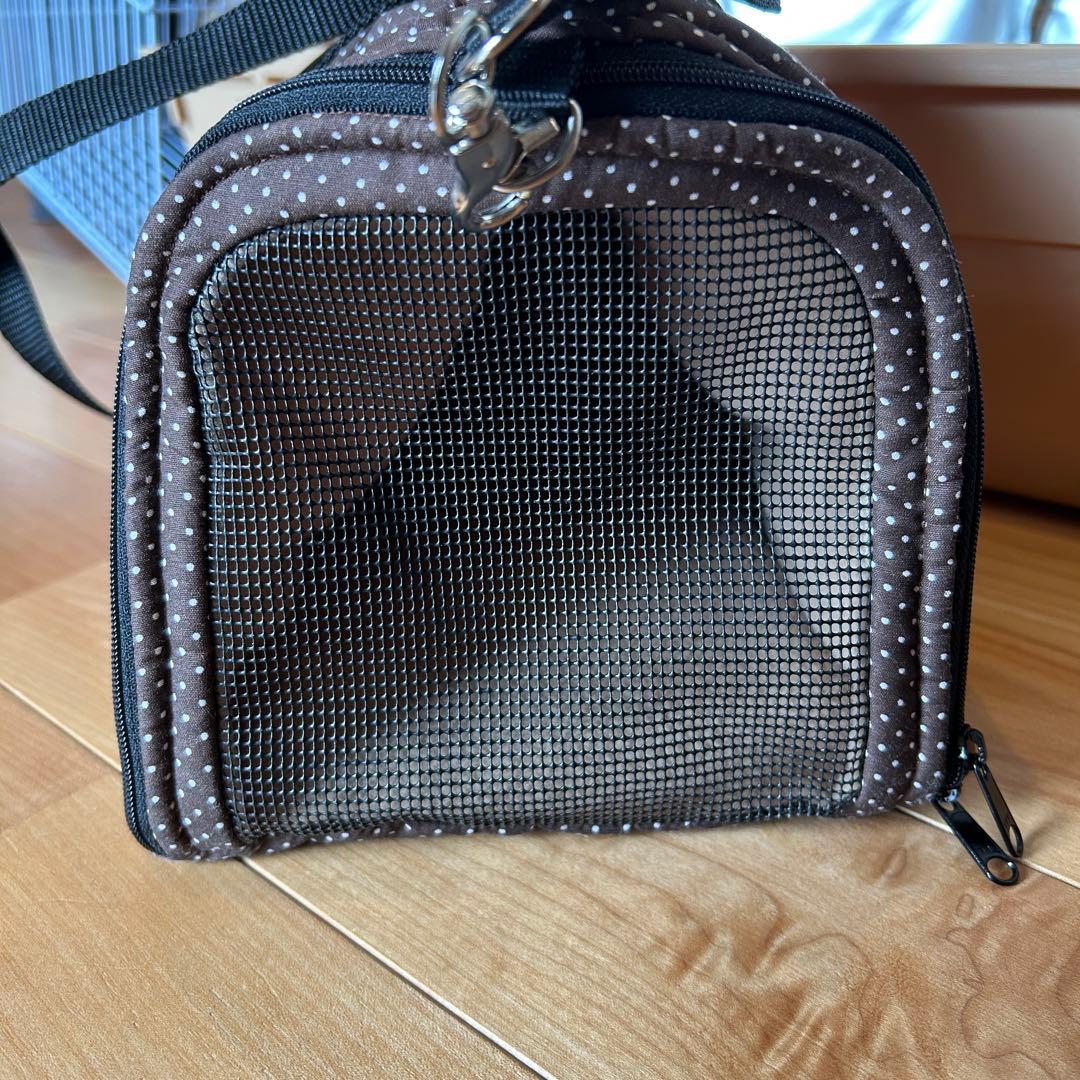 ハリネズミ飼育セット