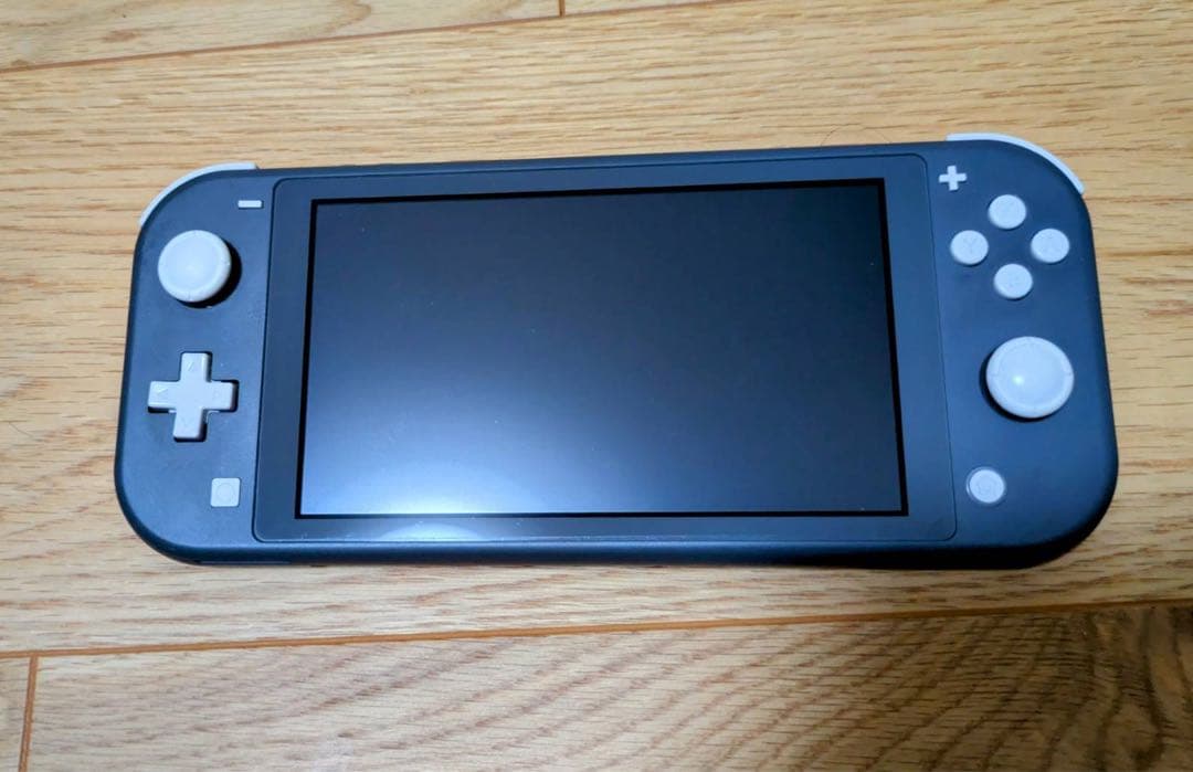 melty　Nintendo Switch Lite グレー 本体 充電器