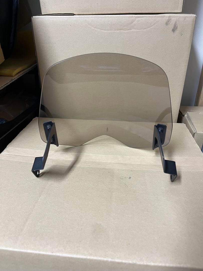 WR250 ワイズギア　ミニスクリーン