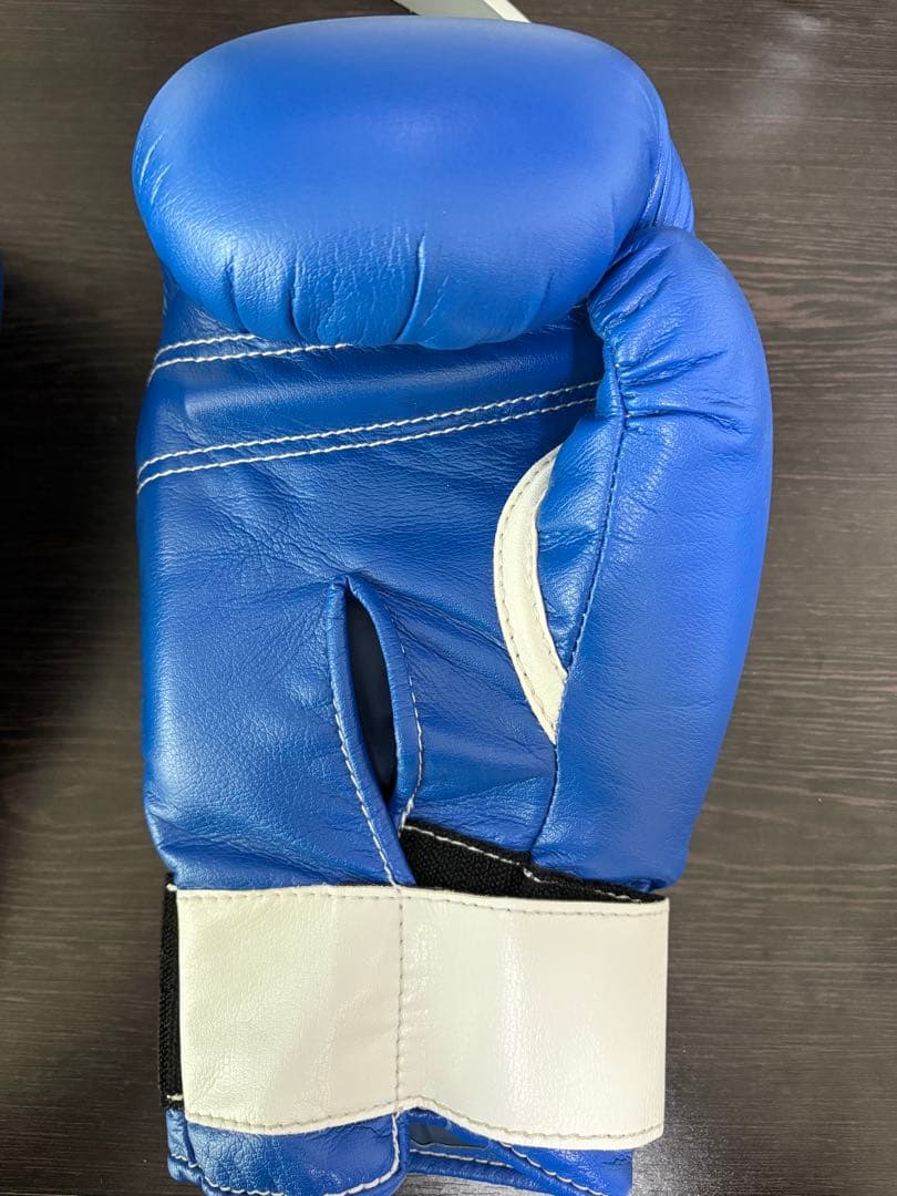 Winning ボクシンググローブ 10 oz 青　新品未使用　ソフトタイプ