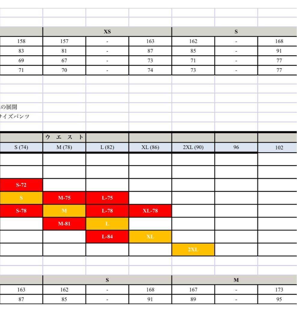 MIZUNOクルーモデルスキーウエアー(ユニセックス)