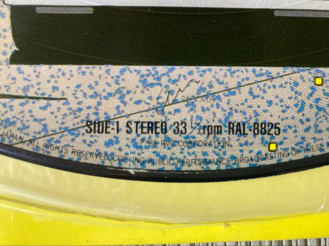 山下達郎「COME ALONG」希少限定ピクチャー・レコード