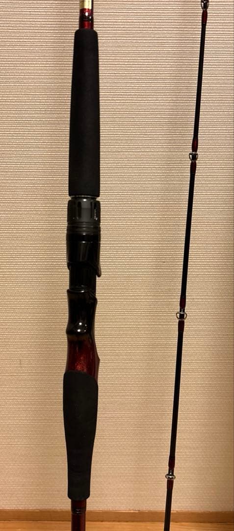 ダイワ リーディングMG 73MHー225MT